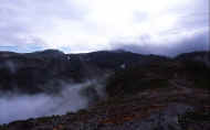 07_aki_photo-10.jpg (32887 oCg)