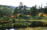 07_aki_photo-12.jpg (90927 バイト)