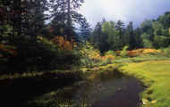 07_aki_photo-13.jpg (76092 バイト)