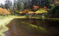 07_aki_photo-14.jpg (79694 バイト)