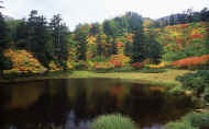 07_aki_photo-16.jpg (70593 バイト)