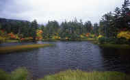 07_aki_photo-18.jpg (62574 バイト)