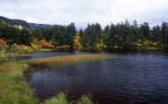 07_aki_photo-19.jpg (63394 バイト)