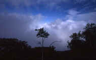07_aki_photo-1.jpg (27028 oCg)