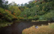 07_aki_photo-20.jpg (81356 バイト)