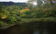 07_aki_photo-21.jpg (76663 バイト)
