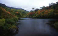 07_aki_photo-23.jpg (44903 バイト)