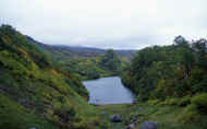07_aki_photo-24.jpg (55295 バイト)