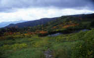 07_aki_photo-25.jpg (50633 バイト)