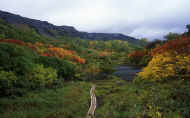07_aki_photo-27.jpg (61098 バイト)