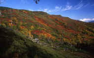 07_aki_photo-28.jpg (68824 バイト)