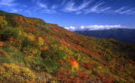 07_aki_photo-29.jpg (89917 バイト)
