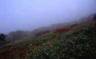 07_aki_photo-2.jpg (33128 oCg)