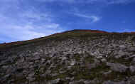 07_aki_photo-32.jpg (56956 バイト)