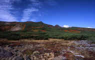 07_aki_photo-34.jpg (64151 バイト)