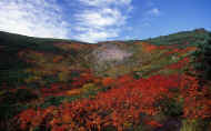 07_aki_photo-36.jpg (70276 バイト)