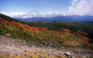 07_aki_photo-37.jpg (80904 バイト)