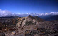 07_aki_photo-38.jpg (54599 バイト)