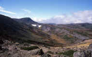 07_aki_photo-39.jpg (61291 バイト)