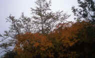 07_aki_photo-3.jpg (85877 oCg)