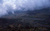 07_aki_photo-41.jpg (34536 バイト)