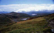 07_aki_photo-43.jpg (48981 バイト)
