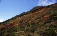 07_aki_photo-44.jpg (79885 バイト)