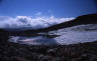 07_aki_photo-46.jpg (47046 バイト)