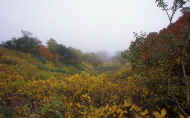 07_aki_photo-4.jpg (64005 oCg)