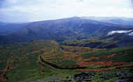 07_aki_photo-50.jpg (59098 バイト)