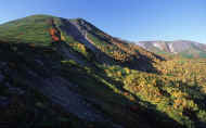 07_aki_photo-51.jpg (64438 バイト)