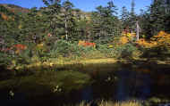 07_aki_photo-53.jpg (90934 バイト)