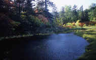 07_aki_photo-54.jpg (73191 バイト)