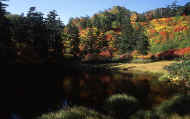 07_aki_photo-55.jpg (68350 バイト)
