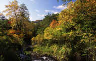 07_aki_photo-58.jpg (115489 バイト)