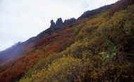 07_aki_photo-5.jpg (57460 oCg)