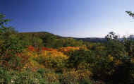 07_aki_photo-60.jpg (73196 バイト)