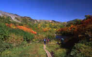 07_aki_photo-63.jpg (78490 バイト)