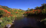07_aki_photo-64.jpg (65437 バイト)