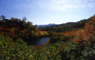 07_aki_photo-65.jpg (65892 バイト)