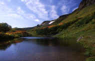 07_aki_photo-66.jpg (54103 バイト)