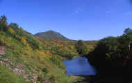07_aki_photo-67.jpg (54711 バイト)