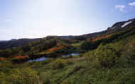 07_aki_photo-68.jpg (62893 バイト)