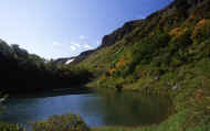 07_aki_photo-69.jpg (59585 バイト)
