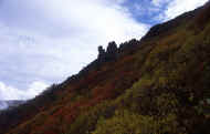 07_aki_photo-6.jpg (45524 oCg)