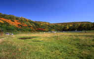 07_aki_photo-70.jpg (73662 バイト)