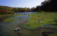 07_aki_photo-71.jpg (58968 バイト)