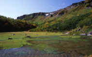 07_aki_photo-72.jpg (62133 バイト)
