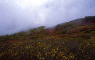07_aki_photo-7.jpg (41224 oCg)