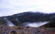 07_aki_photo-8.jpg (52240 oCg)